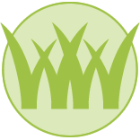 Dallas Lawn Mowing