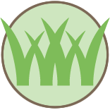 Dallas Lawn Mowing