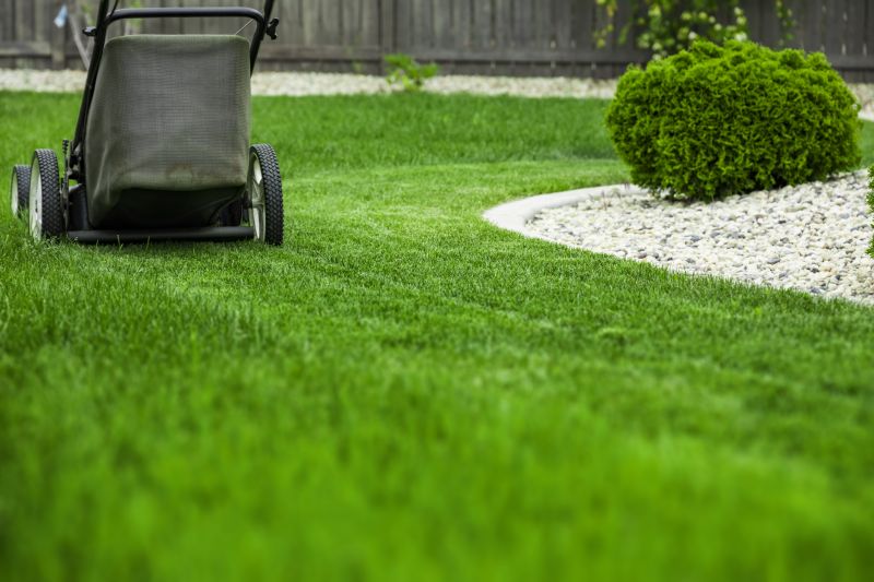 Lawn with Clean Edges