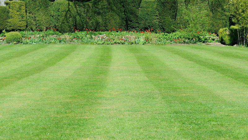 Healthy Lawn After Mowing