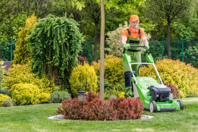 Spring Lawn Care
