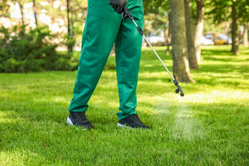 Spring Lawn Care