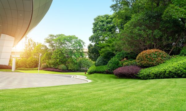 Cost of Commercial Lawn Mowing in Dallas