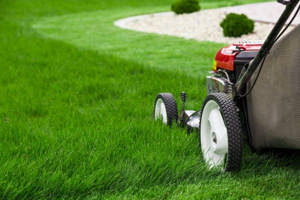 Cost of Grass Cutting Service in Dallas