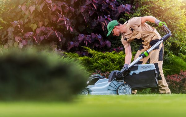 Cost of Lawn Care And Maintenance in Dallas