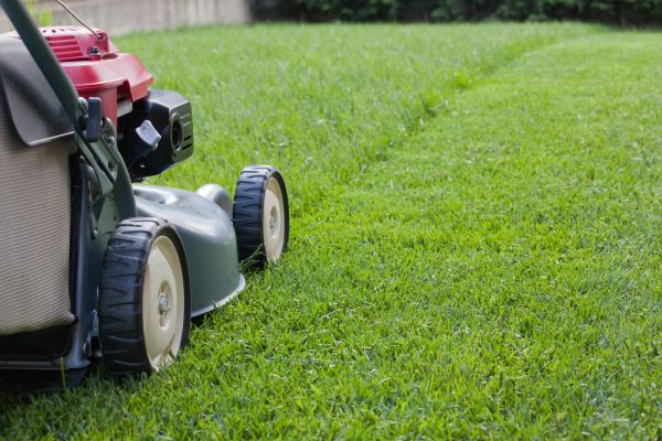 Cost of Lawn Care Service in Dallas