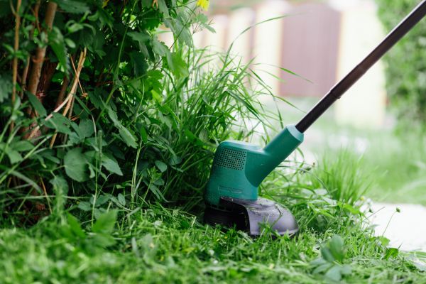 Cost of Weed Whacking in Dallas