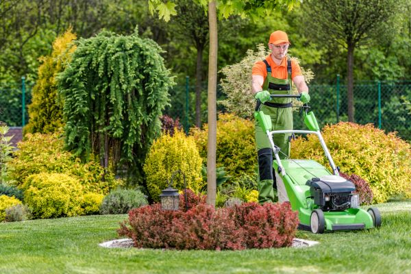 Cost of Yard Service in Dallas