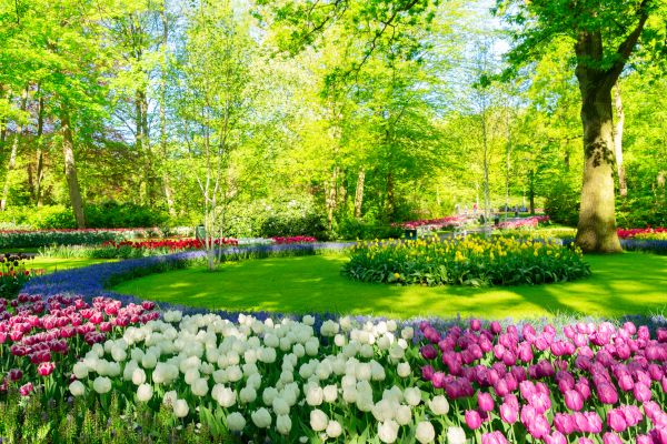 Cost of Spring Lawn Care in Dallas