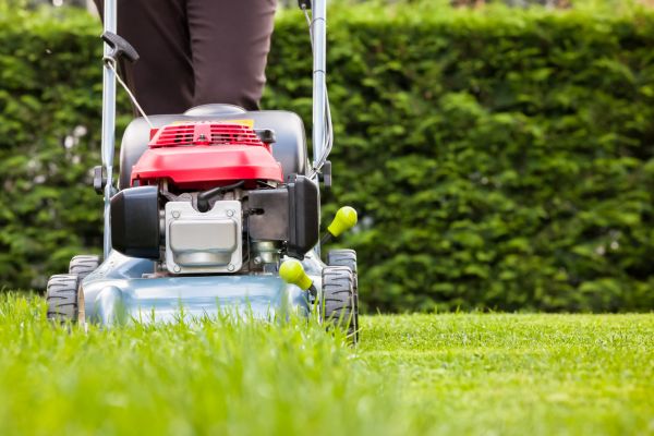 Cost of Grass Trimming Service in Dallas